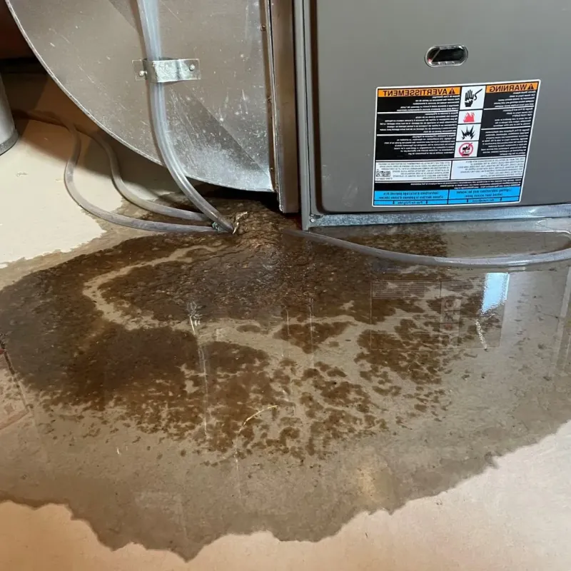 Pipe Burst and Leak Restoration in Dublin, VA