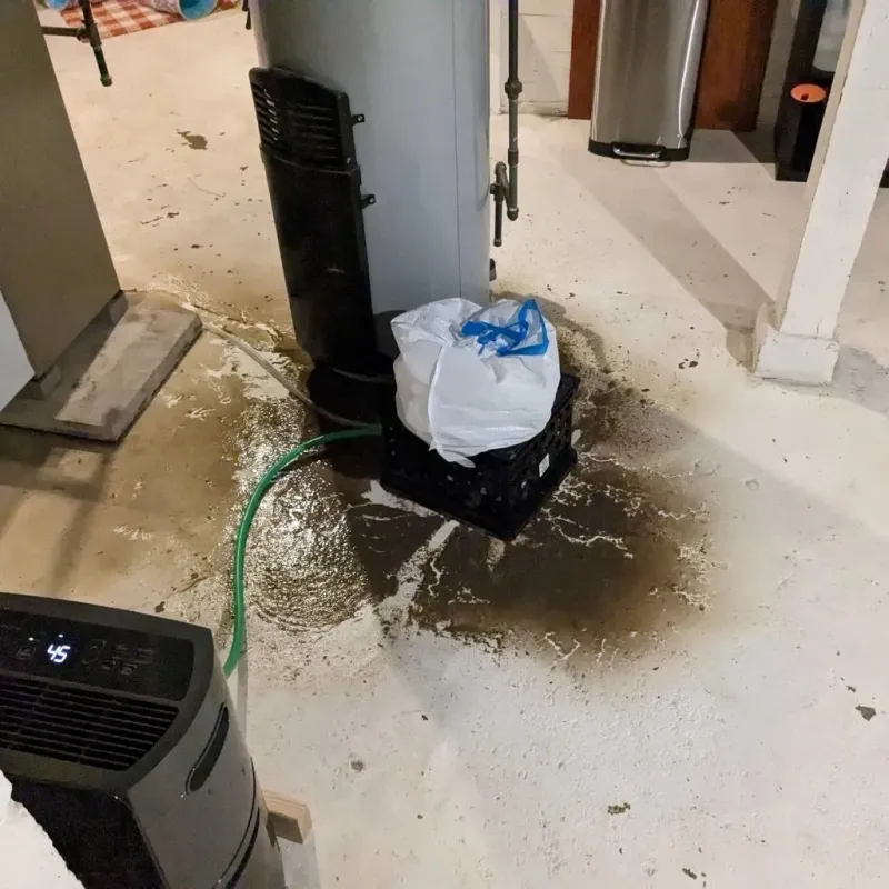 Sewage Backup Cleanup Service in Dublin, VA